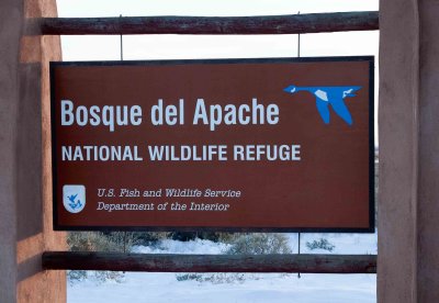 Bosque del Apache