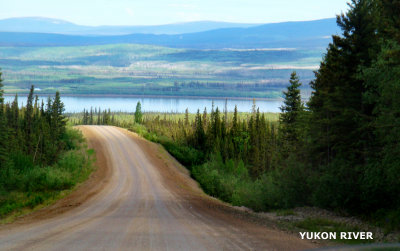 Road to the Yukon River