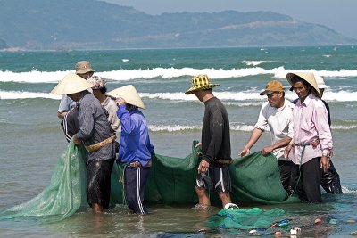 net ashore