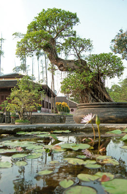 Hue Citadel, River and Thien Mu Pagoda