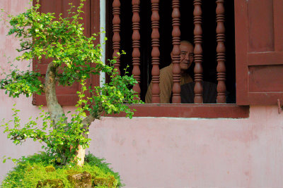 Monk, Watching