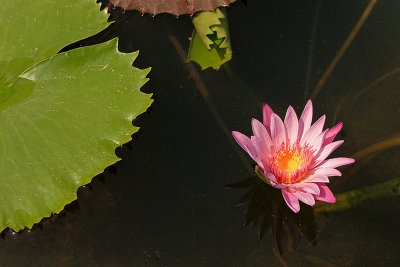 g4/49/985549/3/134822388.cTX5G7Lb.jpg