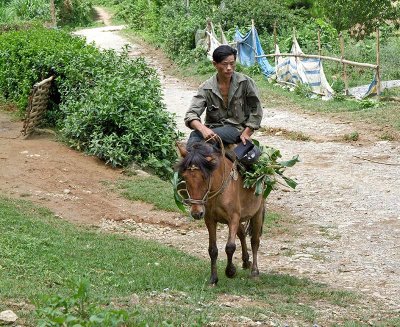 Rural road outside Bac Ha