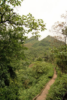 Track around the gardens