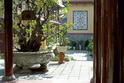 Bonsai and Colonnade