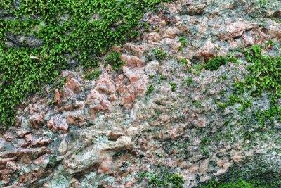 Mossy Granite