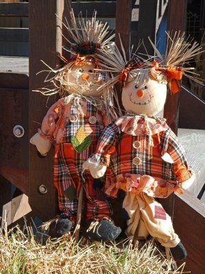 Jack and Jill Scarecrow, Detail