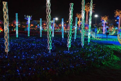 Night Gardens
