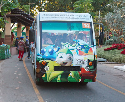 Electric Buses