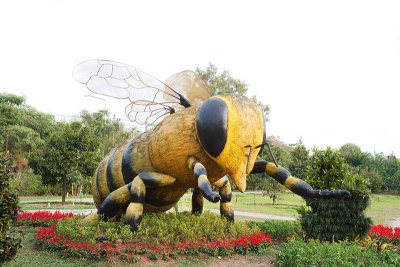 Symbolic Bee