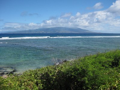 Near Murpheys Beach