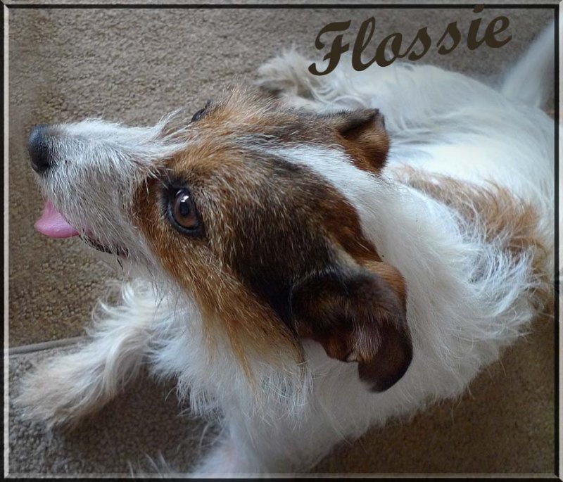 Flossie