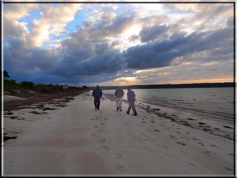 Kangaroo Island, a coast with the most! 2011