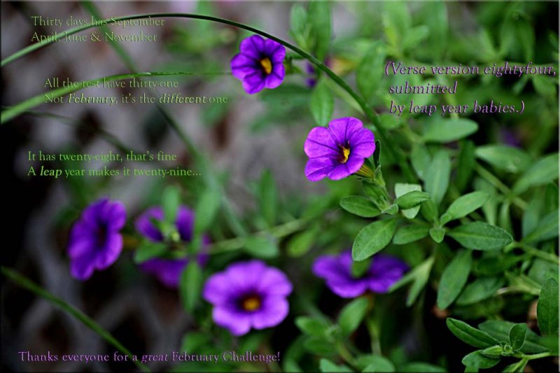 My love of the garden