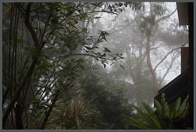 Foggy Day