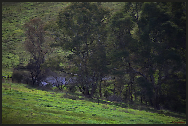 View of our dam