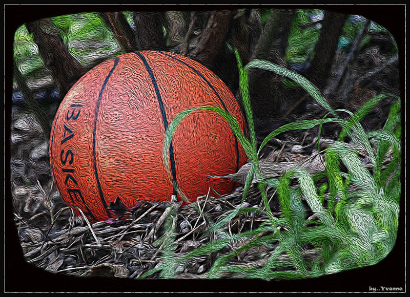 Ball in the garden