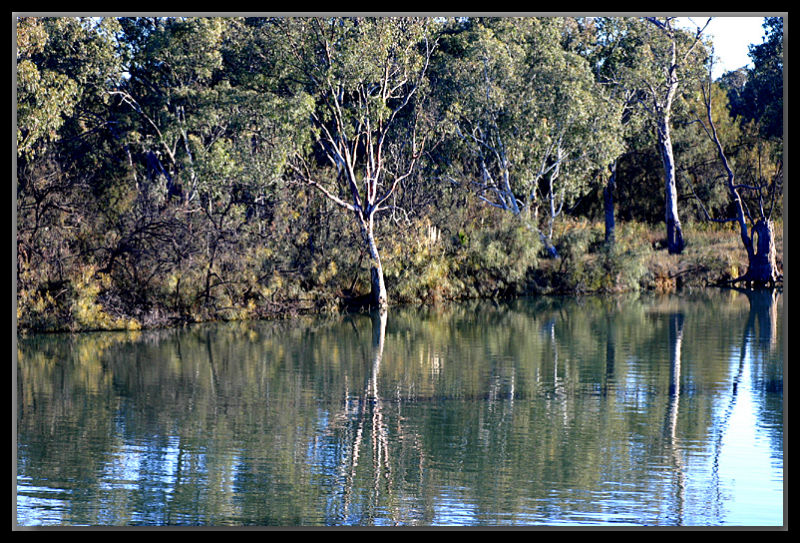 At the river's edge...