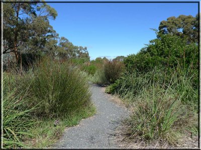 A stroll around Wittunga in early autumn, 2011