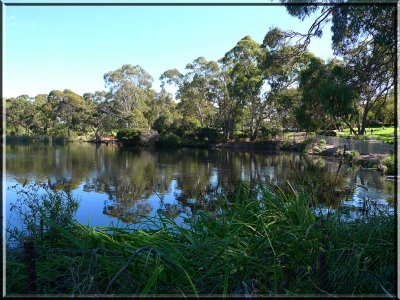 Wittunga Lake