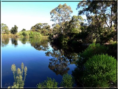 Wittunga Lake