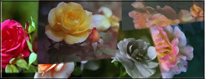 Merged roses art textured.jpg
