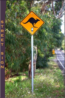 Street Sign  