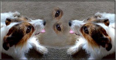 Flossie twice