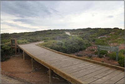 Boardwalk from Remarkable Rocks