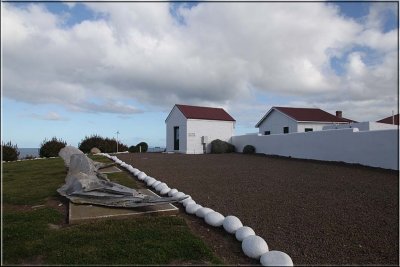 Display of whale bones