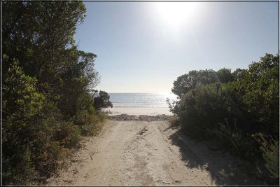 Walkway to the beach