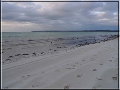 Quiet beach at dusk