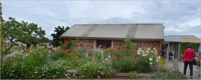 Coriole Winery logo 16.12.11.01.jpg