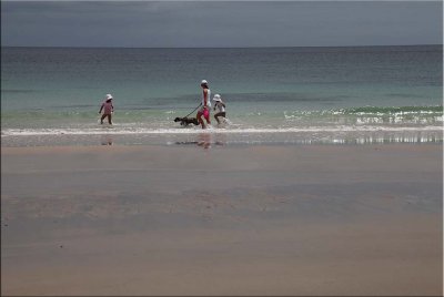    Carrickalinga Beach in the southern Summer 2012-2013