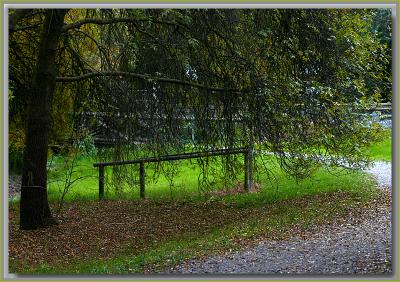 Sunlight on the green...