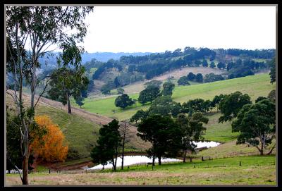 Paddocks in May