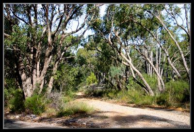 Side track off Formby