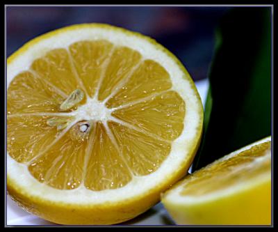 The Meyer Lemon...