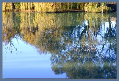 More reflections on the river