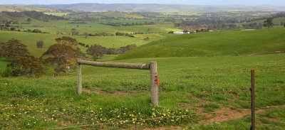 Spring rural logo.jpg