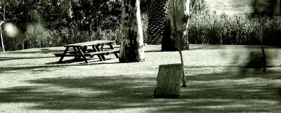 Seat logo filter bw.1a.jpg