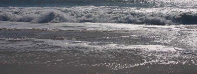 Sea logo 1d.jpg