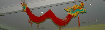 Dragon logo.jpg