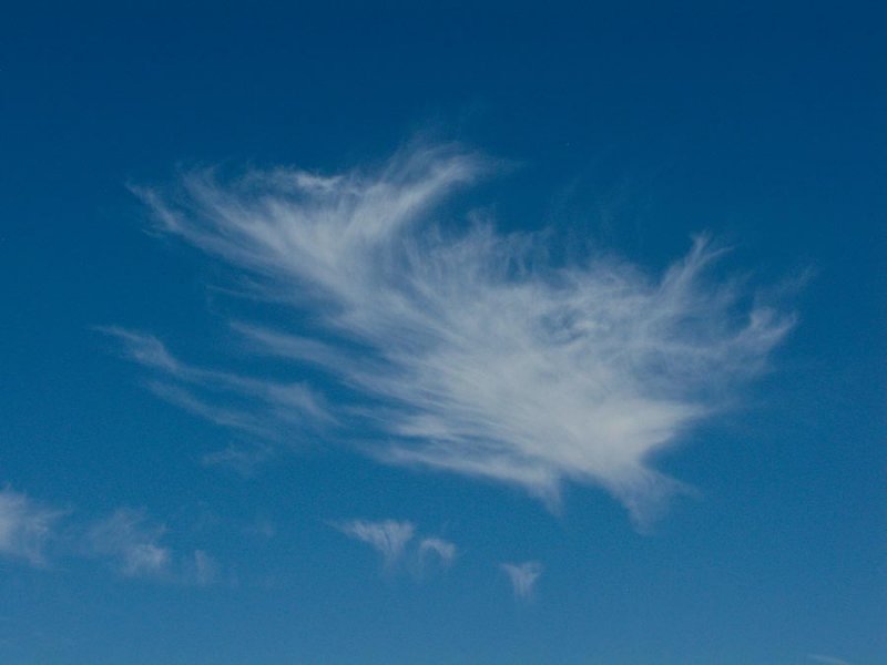 cirrus