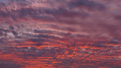 Altocumulus