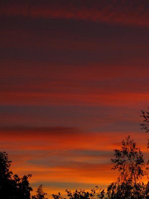 cirrus et altostratus