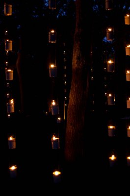 Nuits euphoriques