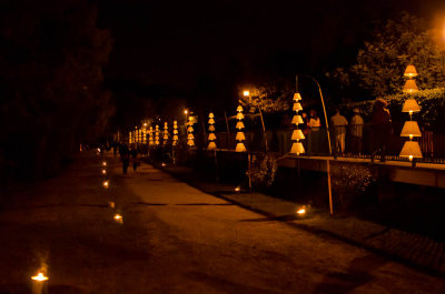 Nuits euphoriques