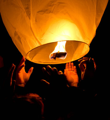 Nuits euphoriques