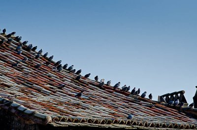 Cordes sur ciel